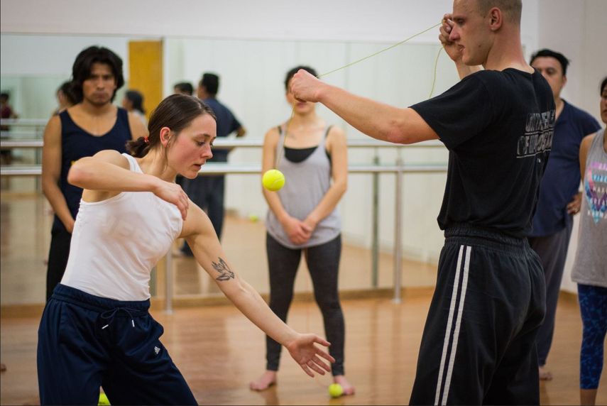 (c) Jakub Zeman Fighting_Monkey_1__c__Jakub_Zeman